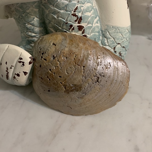 Homemade Soy Wax Candle in a Seashell Ocean Breeze Scented - Picture 5 of 12